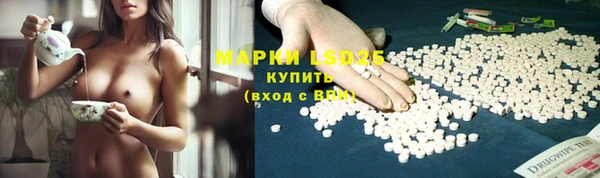 мяу мяу мука Гусев