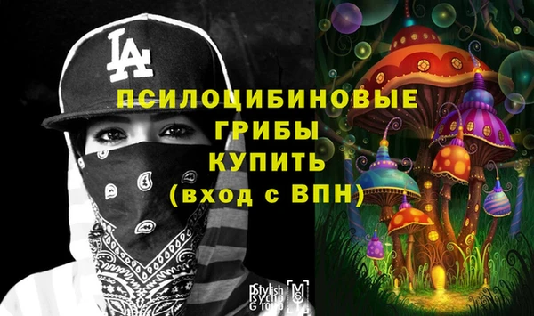 мяу мяу мука Гусь-Хрустальный