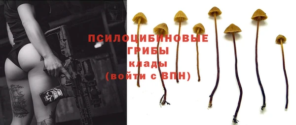 крисы Горно-Алтайск